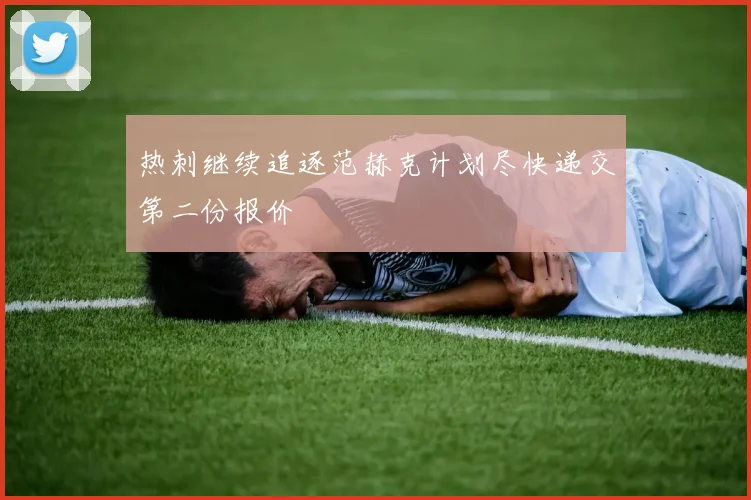 热刺继续追逐范赫克计划尽快递交第二份报价